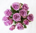 KaBloom - 24 Stems of Purple Roses (Cut-to-Order, and Homegrown in the USA) - Fresh Flowers for Birthday, Valentine's & Mother's Day