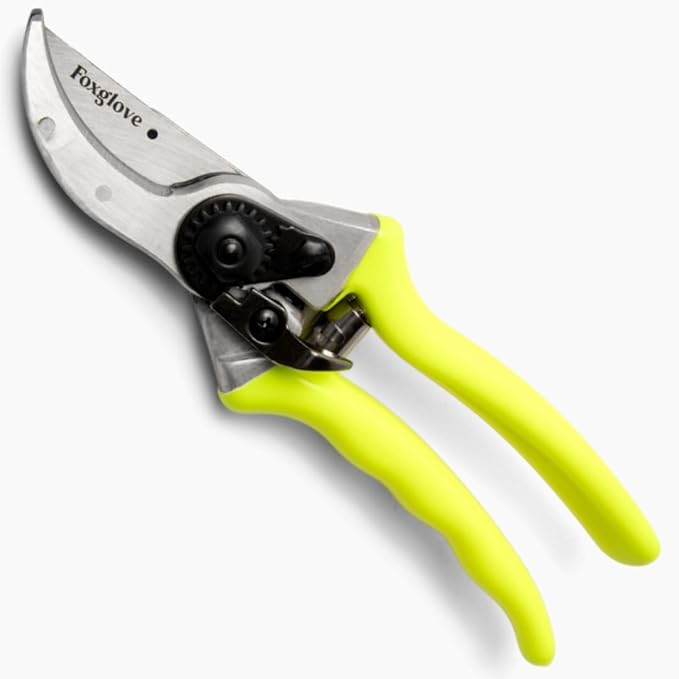 Foxglove Pruning Shears – Professional Garden Shears & Bypass Hand Pruners with Japanese SK5 High Carbon Steel Blades, Heavy Duty Garden Clippers & Gardening Tools
