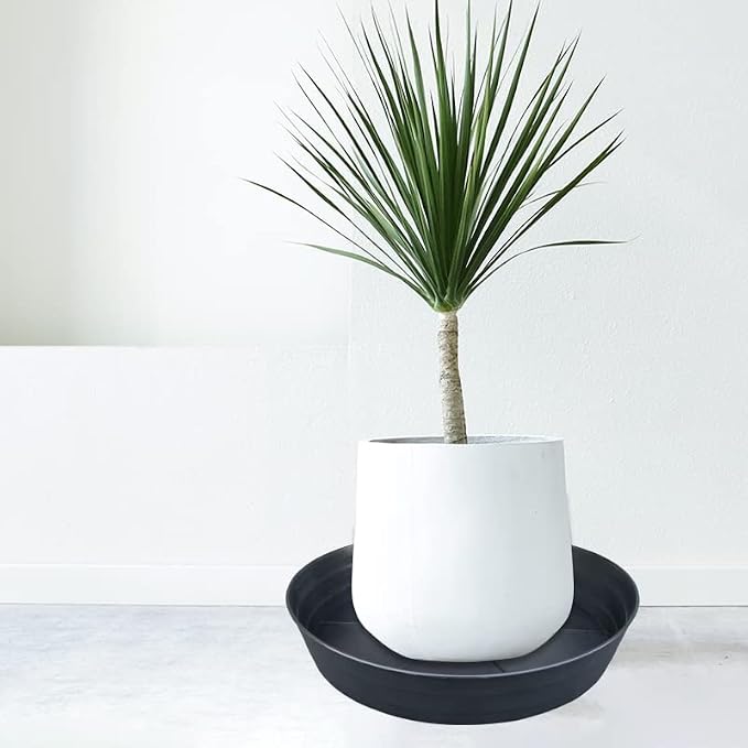 LWALRS Plant Saucer 18 Inch, Extra Large Planter Saucer 4 Pack, Plastic Plant Saucers for Indoors and Outdoors, Plant Pot Saucers, Drainage Tray for 16, 17, 18 in Planters