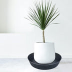 LWALRS Plant Saucer 16 Inch 2 Pack 10 12 14 16 18 20 25, Plastic Plant Trays for Pots，Extra-Deep Plant Water Dray Tray, Bird Bath Bowl, Heavy Flower Plant Saucers Indoors and Outdoor No Holes