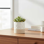 Nihow Self Watering Plant Pot: 4.5 Inch Ceramic Planter with Drainage Hole & Water Storage Plus for Indoor & Outdoor Plants - Cylinder Flower Pot for Herbs/Violets - Matte White & Brown Star