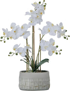 27" White Orchid Arrangement in a Grey Stonelike Planter | Real Touch White Moth Orchids in a Grey Planter by Fiori Sempre