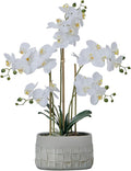 27" White Orchid Arrangement in a Grey Stonelike Planter | Real Touch White Moth Orchids in a Grey Planter by Fiori Sempre