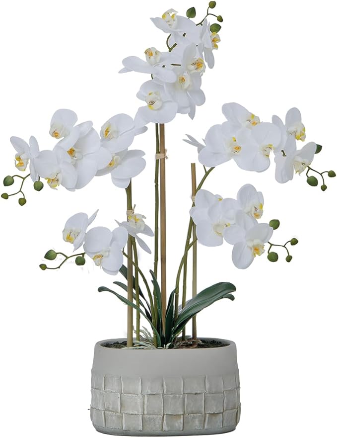 27" White Orchid Arrangement in a Grey Stonelike Planter | Real Touch White Moth Orchids in a Grey Planter by Fiori Sempre
