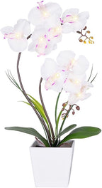 HOMESEASONS Orchid Lamp-LED Lighted Orchid Arrangements,Pre Lit Artificial Orchid,Light Up Flower Lights, Faux Orchid Phalaenopsis Arrangement (White)