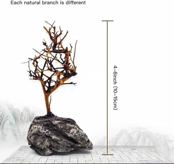 YZHZOM 2pcs Small Bonsai Aquarium Tree,4-6inch,Handmade Aquarium Bonsai Tree Aquarium Decor Tree