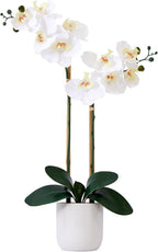 Nearly Natural 26in. Artificial Double Orchid Phalaenopsis with Decorative Vase (Real Touch)