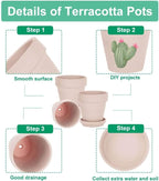 vensovo 6 Inch Pink Terracotta & Clay Pots for Plant with Saucer - 4 Pack Medium Terra Cotta Planter with Drainage Hole, Flowerpot for Indoor Outdoor Plants, Crafts, Wedding Favor
