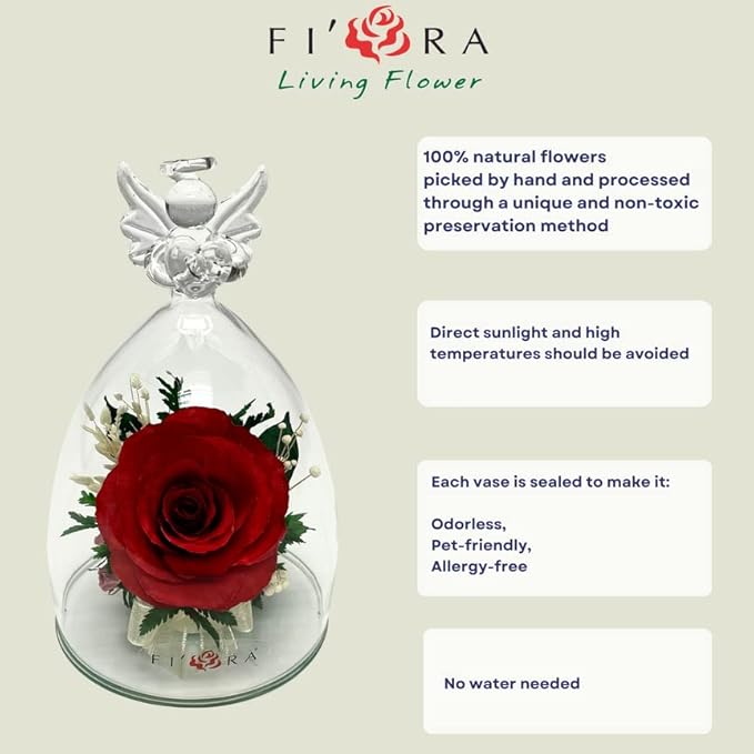 Fiora Flower | Long Lasting Real Roses in a Sealed Vase | Lasts up to 5 Years | Unique Present Gift