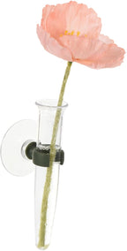 PATIKIL Floral Water Tubes with Suction Cup, 3 Pcs 0.6" ID 4" Plastic Wall Hanging Vase for Plants Flower Arrangement, Clear
