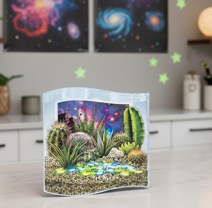 Toys By Nature Galaxy Garden, Wave Terrarium Kit with Live Cactus Plants, Succulents & Alien Egg Stone - Beginner-Friendly Terrariums and Live Indoor Plants Décor