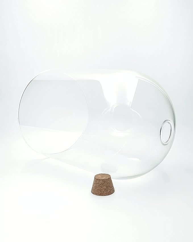 Handblown 10" Glass Terrarium with Opening for Air Flow & Cork Stopper Cloche Style Glass Dome Vivarium Display Case (Large)