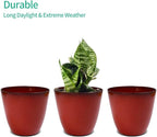 3Pack Plant Pots Durable Decorative Flower Pots,6 Inch Planter Set for Indoor and Outdoor Plants,Flowers,Succulents (Red)