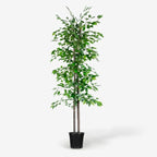 BLAINE | Ficus 39in | Decorative Artificial Plants | Large Artificial Plant | Artificial Plants for Indoor/Outdoor use | Realistic Decorative Artificial Plant for Home