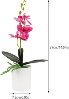 Sosoport Artificial Orchid Bonsai Purple Faux Potted Plant, Realistic Butterfly Orchid Tabletop Artificial Plant Decoration for Home Office Living Room