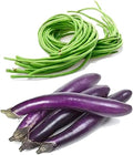 Bundle: Yard Long Pole Bean Seeds+ Ping Tung Long Eggplant Seeds