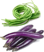 Bundle: Yard Long Pole Bean Seeds+ Ping Tung Long Eggplant Seeds