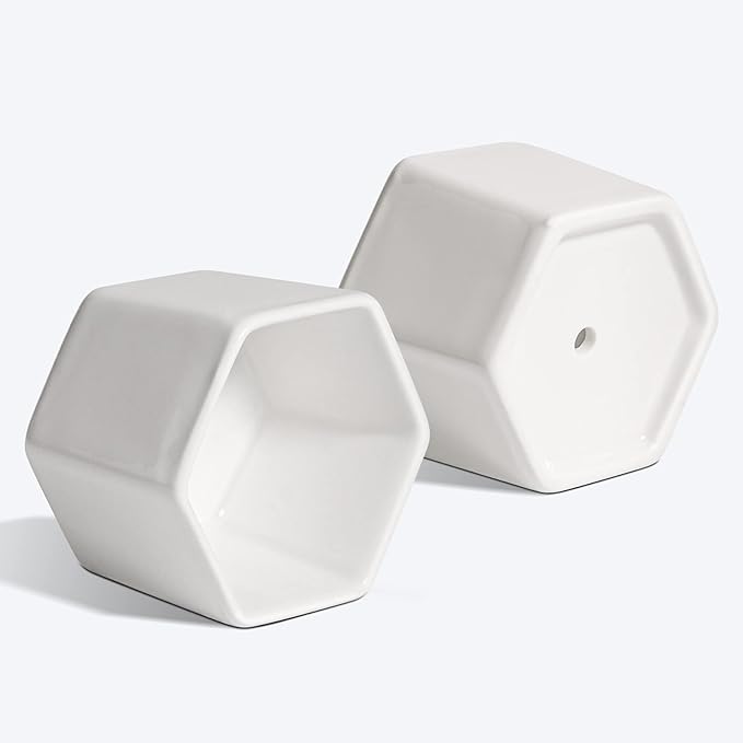 T4U Small White Succulent Planter Pots with Bamboo Tray Hexagon Set of 6, Geometric Ceramic Cactus Plant Holder, Gifts for Plant Lover Gardener Women, Home Office Table Desk Decoration