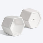 T4U Small White Succulent Planter Pots with Bamboo Tray Hexagon Set of 6, Geometric Ceramic Cactus Plant Holder, Gifts for Plant Lover Gardener Women, Home Office Table Desk Decoration
