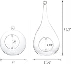 Mkono 2 Pack Glass Hanging Planter Air Fern Holder Terrarium Plants Hanger Vase Home Christmas Decoration Gift Idea for Succulent Moss Tillandsias Air Plants, Globe and Teardrop
