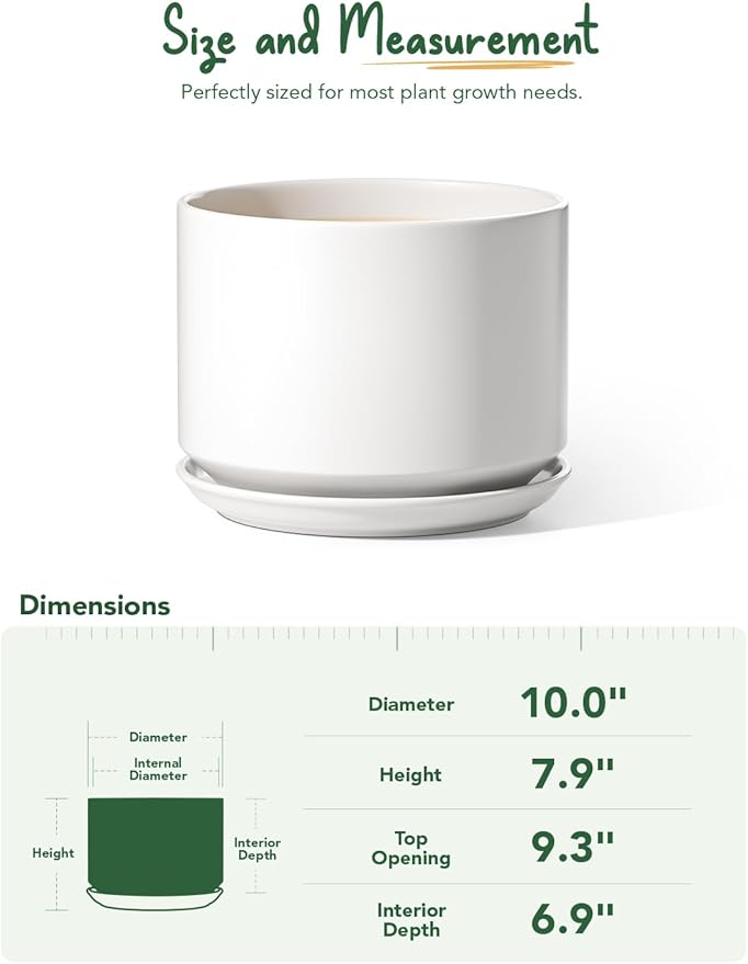 Ceramic Pots for Plants, 10 Inch Plant Pot with Drainage Hole & Saucer, Sturdy & Modern Planters for Indoor Plants, Includes Mesh Screen, Fits Snake Plant & Monstera, White
