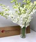 eflowerwholesale - Premium Cut White Orchids (20 stems with Vase) (Support Small Business)