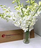eflowerwholesale - Premium Cut White Orchids (20 stems with Vase) (Support Small Business)