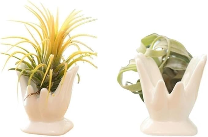 Air Plant Holder Cute Ceramic Mini Hand Shape Stand Airplants Tillandsia Small Container Pot Plant Decorative Home Decor for Desk Table Shelf Office Decorations, White