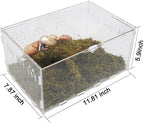 Hermit Crab Tank, Starter Cage Kit with 7 Inch Adjustable Climbing Toys and 3.5oz Substrate