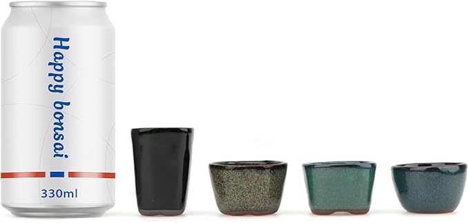 Bonsai Planter 20 pc Mini Glazed Pots Succulent 1.6 Inch