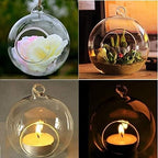 Nuptio 8 Pcs 3.15"/ 8cm Hanging Glass Tealight Holder Globe Plant Terrariums Glass Orbs Air Plants Tea Light Candle Holders Home Decor Indoor Outdoor Garden (6 Pcs + 2 Pcs)