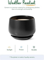 LE TAUCI Ceramic Planter, 10 Inch Plant Pot with Drainage Hole & Saucer – Durable Indoor Planter for Modern Home Decor, Black