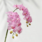 2 Pcs Orchid Stems 38" Artificial Flowers Real Touch Latex Faux Phalaenopsis Branches White Artificial Flowers for Wedding Party Home Garden Decor (Pink, 38")