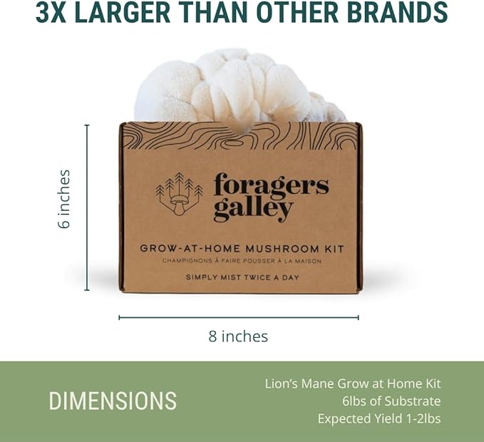 Lion's Mane Mushroom Growing Kit - 6lbs - Mushroom Grow Kit, Indoor Growing, Easy to Use, Grow Lions Mane at Home