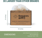 Lion's Mane Mushroom Growing Kit - 6lbs - Mushroom Grow Kit, Indoor Growing, Easy to Use, Grow Lions Mane at Home