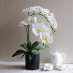Htmeing 38 Inch Artificial Phalaenopsis Flowers Branches Real Touch (Not Silk) Orchids Flowers for Home Office Wedding Decoration,Pack of 2 (Green White)