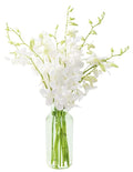 KaBloom - 20 White Orchid with vase - Fresh Flowers for Birthday, Valentine's & Mother's Day
