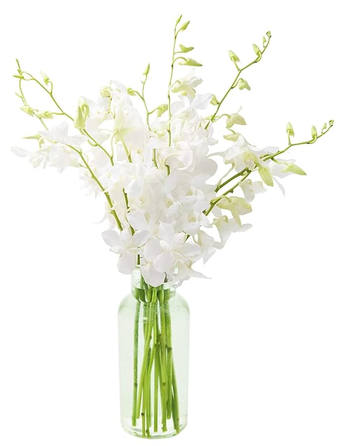 KaBloom - 20 White Orchid with vase - Fresh Flowers for Birthday, Valentine's & Mother's Day