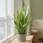 Root & Vessel Majestic Mid-Century Modern Low Profile Cylinder Pot, Matte Gray, 4.5"