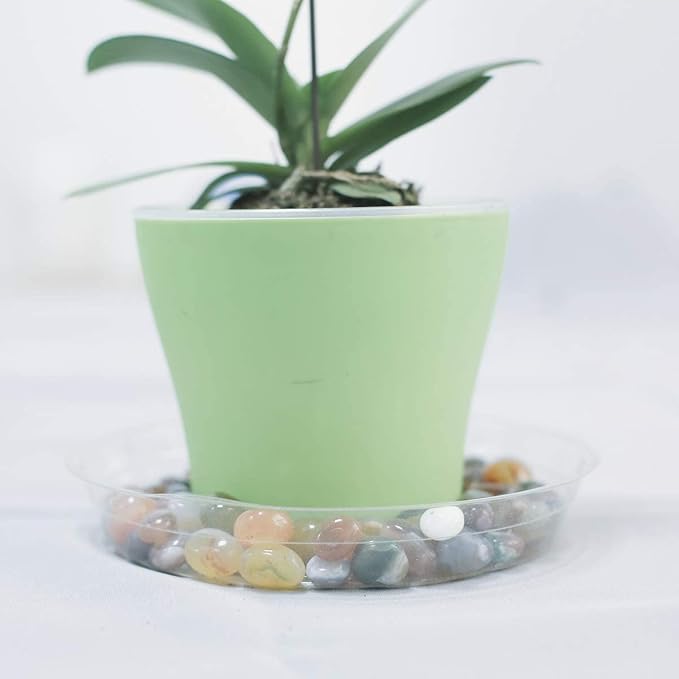 TRUEDAYS 10 Inch 5 Pack Clear Plant Saucers Flower Pot Tray Excellent for Indoor & Outdoor Plants