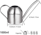 IMEEA Indoor Watering Can for House Plants Stainless Steel Watering Can Metal with Long Spout (33oz/1L)