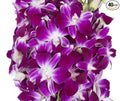 KaBloom PRIME NEXT DAY DELIVERY .- Mother's Day Collection - 40 Purple Orchids Cut-to-Order, and Homegrown in the USA).Gift for Birthday, Easter, Anniversary,Mother’s Day Fresh Flowers