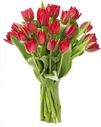 KaBloom - PREMIUM 20 Red Tulips - Farm Direct Wholesale Fresh Flowers - Fresh Flowers for Birthday, Valentine's & Mother's Day