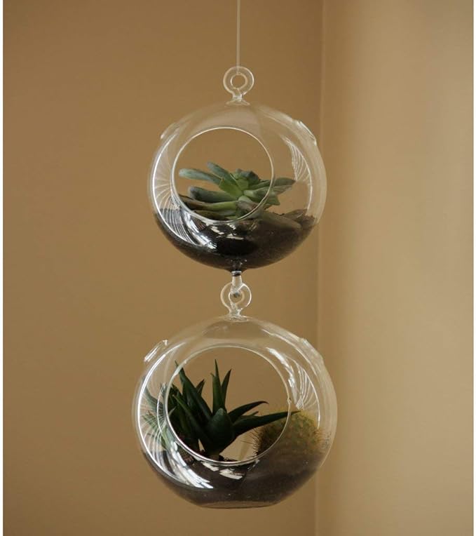 WGV Hanging Terrarium Globe, Width 5", Height 7", Double Hook, DIY Air Succulent Planter, Clear Glass Vase Orb, Candle Holder for Windowsill Outdoor Garden Decor, 6 Pieces Bulk