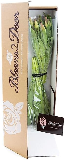 KaBloom - PREMIUM 20 Red Tulips - Farm Direct Wholesale Fresh Flowers - Fresh Flowers for Birthday, Valentine's & Mother's Day