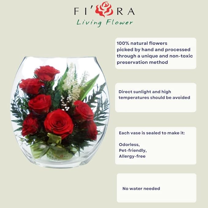 Fiora Flower | Long Lasting Real Roses in a Sealed Vase | Lasts up to 5 Years | Unique Present Gift