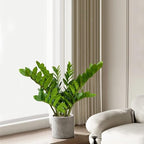Pack of 10 - Artificial Plants Real Touch Faux ZZ Plant Stems Zamioculas Zamiifolia Tropical Greenery Houseplant for Home Office Aesthetic Decor Indoor and Outdoor (Green)
