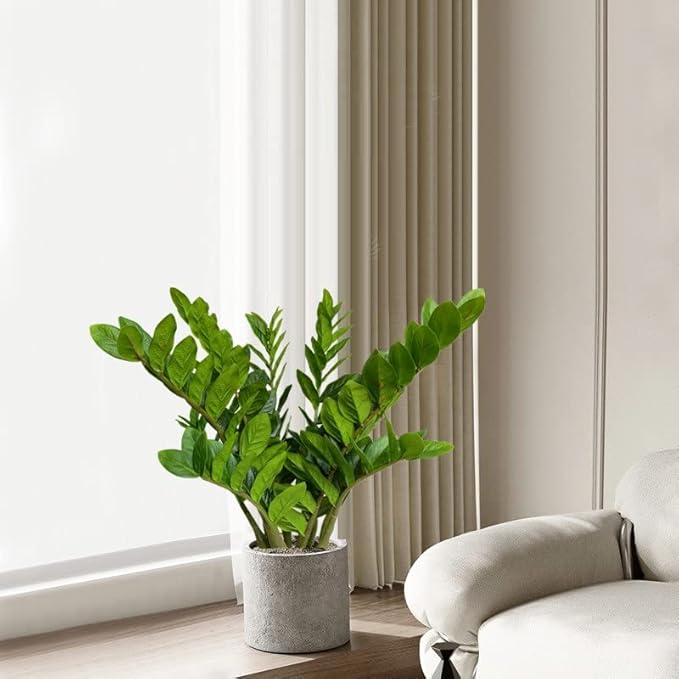 Pack of 10 - Artificial Plants Real Touch Faux ZZ Plant Stems Zamioculas Zamiifolia Tropical Greenery Houseplant for Home Office Aesthetic Decor Indoor and Outdoor (Green)