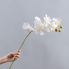 Realistic Faux Phalaenopsis Orchid Stem Fake Orchid Flowers Lifelike Plastic Artificial Flower for Home Decoration Living Room Table Ornament White