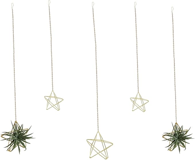 Newwe 5 Stars Kit Hanging Air Plant Holder Wall Gold Airplant Rack with Chains Home Wall Decor Boho Room Decoration Christmas Ornaments